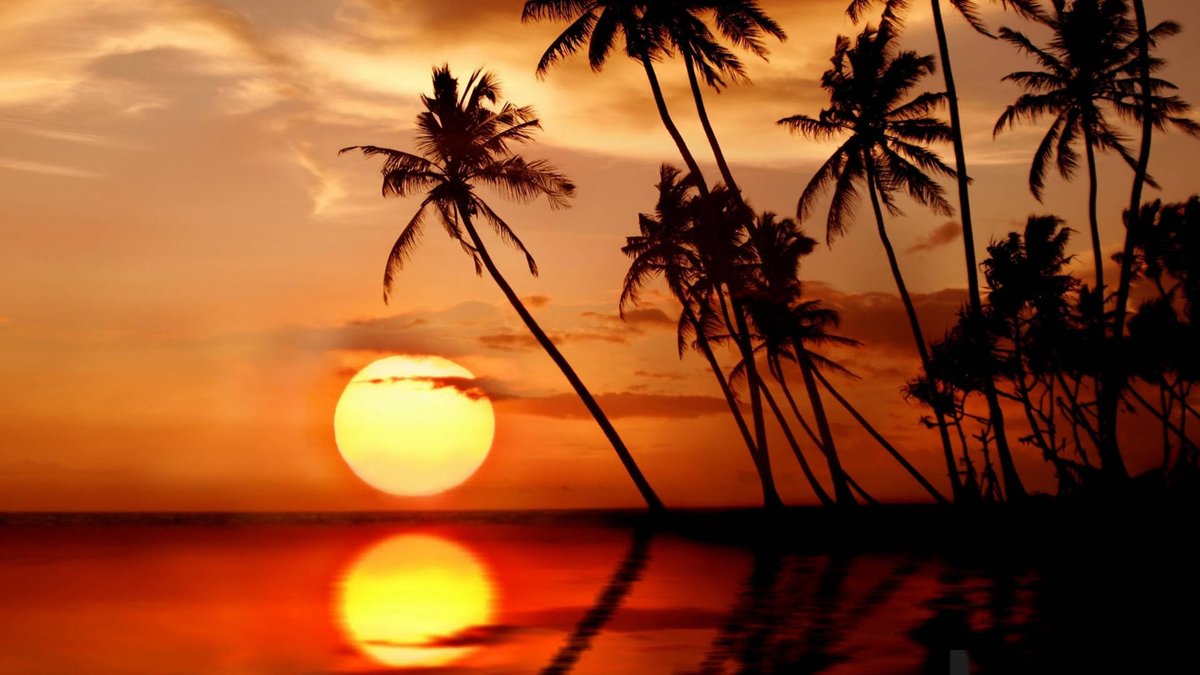 Honeymoon Special