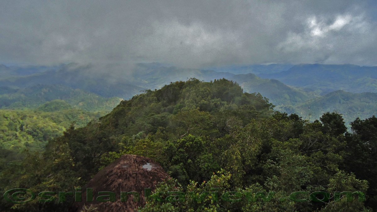 Sinharaja Rainforest